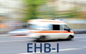 Ebook EHBI